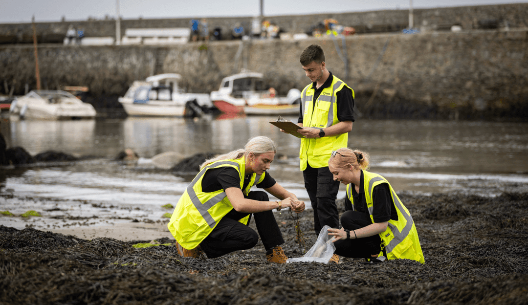 People are working at the river bank in visibility vest People are working at the river bank in visibility vest