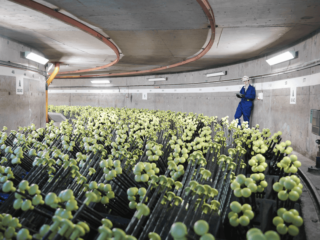 Technician in protective clothing standing beside rows of equipment in an underground facility